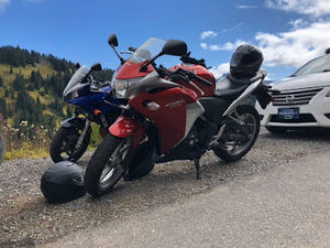 Meet your Posher, Nick